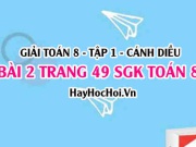 Giải bài 2 trang 49 Toán 8 Tập 1 SGK Cánh Diều